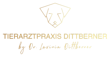 Tierarztpraxis Dittberner by Dr. Lavinia Dittberner