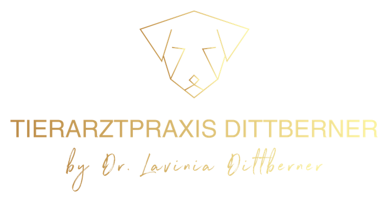 Tierarztpraxis Dittberner by Dr. Lavinia Dittberner