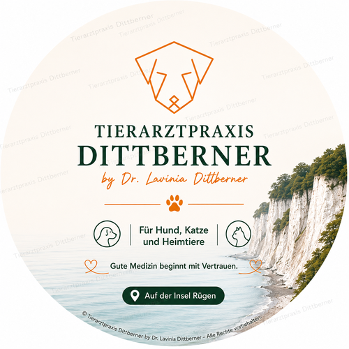 Gute Medizin beginnt mit Vertrauen – Tierarztpraxis Dittberner